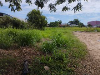 Foto 11 de En Venta Extenso Terreno de 5,000 m2 en Yurimaguas- Loreto
