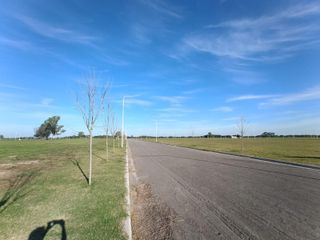 Foto 5 de Terreno - Arroyo Seco