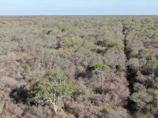Foto 6 de VENTA Campo Ganadero en Morillo Rivadavia