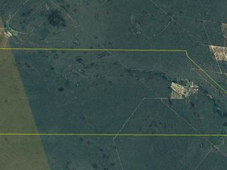 Foto 10 de VENTA Campo Ganadero en Morillo Rivadavia