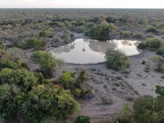 Foto 3 de VENTA Campo Ganadero en Morillo Rivadavia
