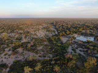 Foto 1 de VENTA Campo Ganadero en Morillo Rivadavia