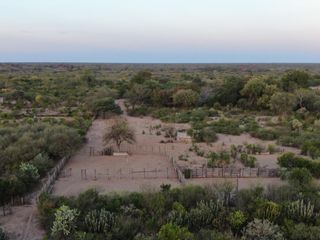 Foto 2 de VENTA Campo Ganadero en Morillo Rivadavia