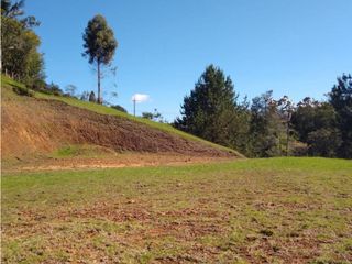 Foto 1 de Venta lote alto palmas colegio Vermont