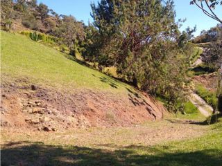 Foto 2 de Venta lote alto palmas colegio Vermont