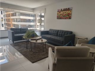 Foto 1 de República de El Salvador, Departamento Amoblado en Renta, 250m2