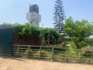 Foto 6 de VENDO TERRENO AGRICOLA EN QUILMANA - CAÑETE