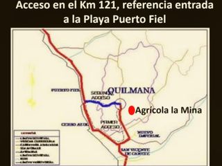 Foto 3 de VENDO TERRENO AGRICOLA EN QUILMANA - CAÑETE