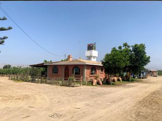 Foto 1 de VENDO TERRENO AGRICOLA EN QUILMANA - CAÑETE
