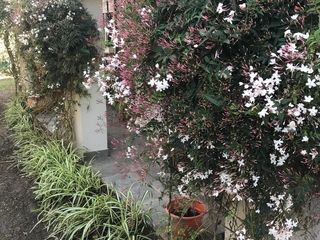 Foto 40 de Casa en alquiler temporario en Funes