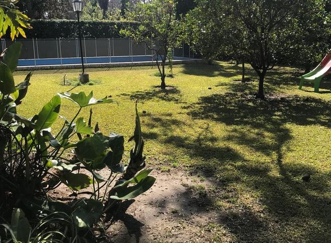 place photo 43
