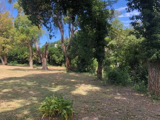 Foto 4 de Casa - Mar del Sur