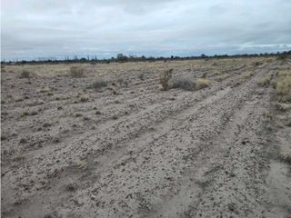 Foto 1 de VENTA DE FINCA 21 HAS EN ALTO VERDE- JUNIN, MZA.