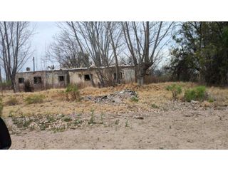 Foto 2 de VENTA DE FINCA 21 HAS EN ALTO VERDE- JUNIN, MZA.