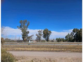 Foto 5 de VENTA DE FINCA DE 13 HAS SOBRE RUTA 7, EN LA DORMIDA, SANTA ROSA-MZA.