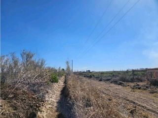 Foto 6 de VENTA DE FINCA DE 13 HAS SOBRE RUTA 7, EN LA DORMIDA, SANTA ROSA-MZA.