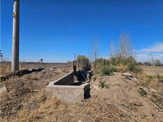Foto 4 de VENTA DE FINCA DE 13 HAS SOBRE RUTA 7, EN LA DORMIDA, SANTA ROSA-MZA.