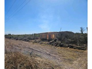 Foto 7 de VENTA DE FINCA DE 13 HAS SOBRE RUTA 7, EN LA DORMIDA, SANTA ROSA-MZA.