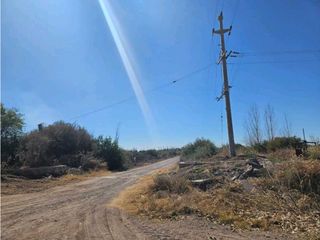 Foto 3 de VENTA DE FINCA DE 13 HAS SOBRE RUTA 7, EN LA DORMIDA, SANTA ROSA-MZA.