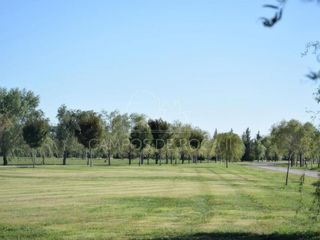 Foto 7 de Terreno en venta - 2.403mts2 - Campos de Roca II, Coronel Brandsen