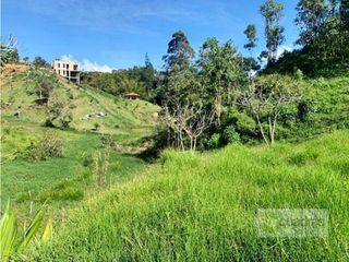 Foto 13 de Lote de 3.613 m² en Marinilla en unidad cerrada
