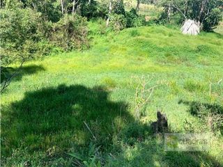Foto 1 de Lote de 3.613 m² en Marinilla en unidad cerrada