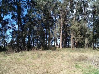 Foto 4 de LOTE ARBOLADO CON ESCRITURA EN Bº LA PARADA -  BRANDSEN