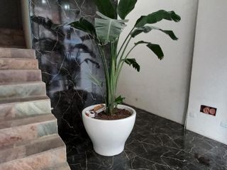 Foto 14 de ESTUDIO / 1 AMB. DIVISIBLE 42 M2 C/BALCON. A ESTRENAR. EDIFICIO CON SUM, SOLARIUM Y PISICINA. EN ALQUILER, LANUSITA. LANUS O.