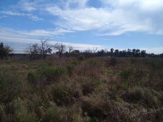 Foto 4 de LOTE DE 1.880 m2 EN Bº LA PARADA - BRANDSEN