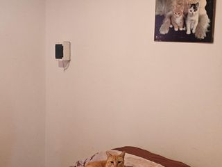 Foto 5 de CASA CON PILETA EN VENTA, SAN CAYETANO, GRAL ROCA