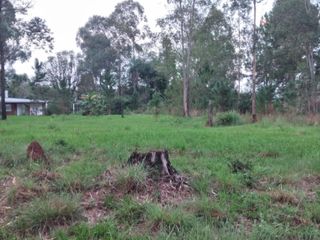 Foto 6 de TERRENOS EN VENTA SOBRE RUTA N°12 A 1 KM DE CANDELARIA. OPORTUNIDAD