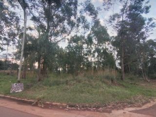 Foto 2 de TERRENOS EN VENTA SOBRE RUTA N°12 A 1 KM DE CANDELARIA. OPORTUNIDAD
