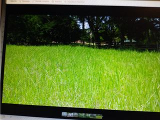 Foto 8 de Venta Lote Parcelacion Mediterráneo Salgar Antioquia