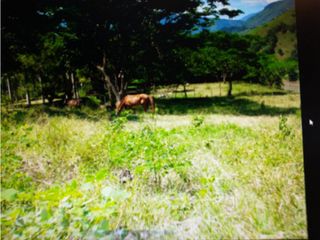 Foto 1 de Venta Lote Parcelacion Mediterráneo Salgar Antioquia