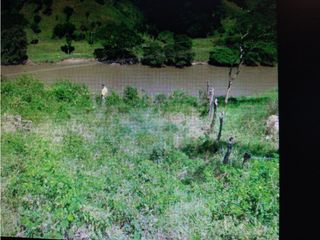 Foto 4 de Venta Lote Parcelacion Mediterráneo Salgar Antioquia