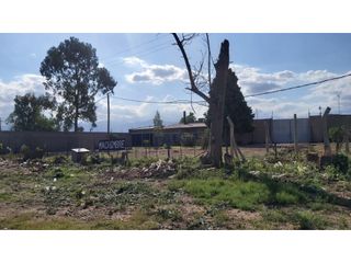 Foto 16 de GALPÓN · ALQUILER · 7.000 M2 ·  DOS GALPONES · OFICINA · LAS HERAS