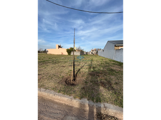 Foto 6 de VENTA - LOTE 379 M2 - SINSACATE
