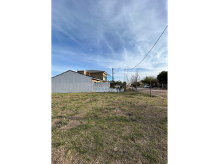 Foto 8 de VENTA - LOTE 379 M2 - SINSACATE