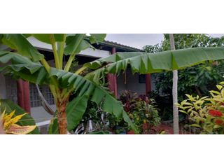 Foto 15 de Se vende casa Económica en la zona urbana de Apulo