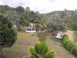 Foto 15 de Se Vende Finca Sector Panamá, Silvania