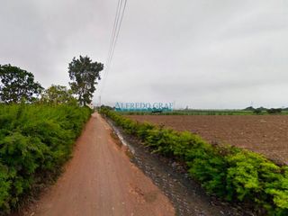 Foto 10 de Terrenos Agricolas Venta CAL. Predio Rural Laurel, (11 de Diciembre)  - HUARAL