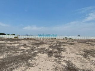 Foto 6 de Terrenos Agricolas Venta CAL. Predio Rural Laurel, (11 de Diciembre)  - HUARAL