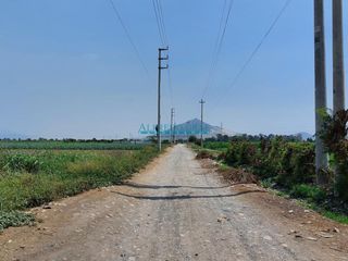 Foto 4 de Terrenos Agricolas Venta CAL. Predio Rural Laurel, (11 de Diciembre)  - HUARAL