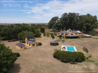 Foto 5 de Campo en venta 50 Has en Punta Indio - Excelente Casco - Ideal Haras