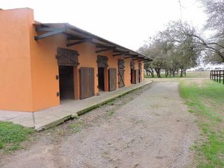 Foto 19 de Campo en venta 50 Has en Punta Indio - Excelente Casco - Ideal Haras