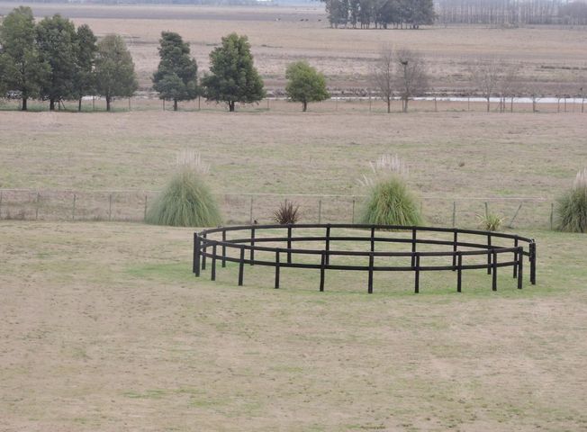place photo 20