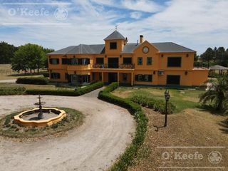 Foto 1 de Campo en venta 50 Has en Punta Indio - Excelente Casco - Ideal Haras