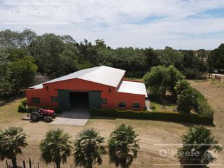 Foto 17 de Campo en venta 50 Has en Punta Indio - Excelente Casco - Ideal Haras