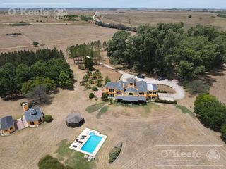 Foto 4 de Campo en venta 50 Has en Punta Indio - Excelente Casco - Ideal Haras