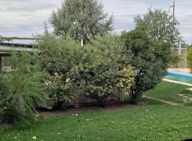 place photo 45